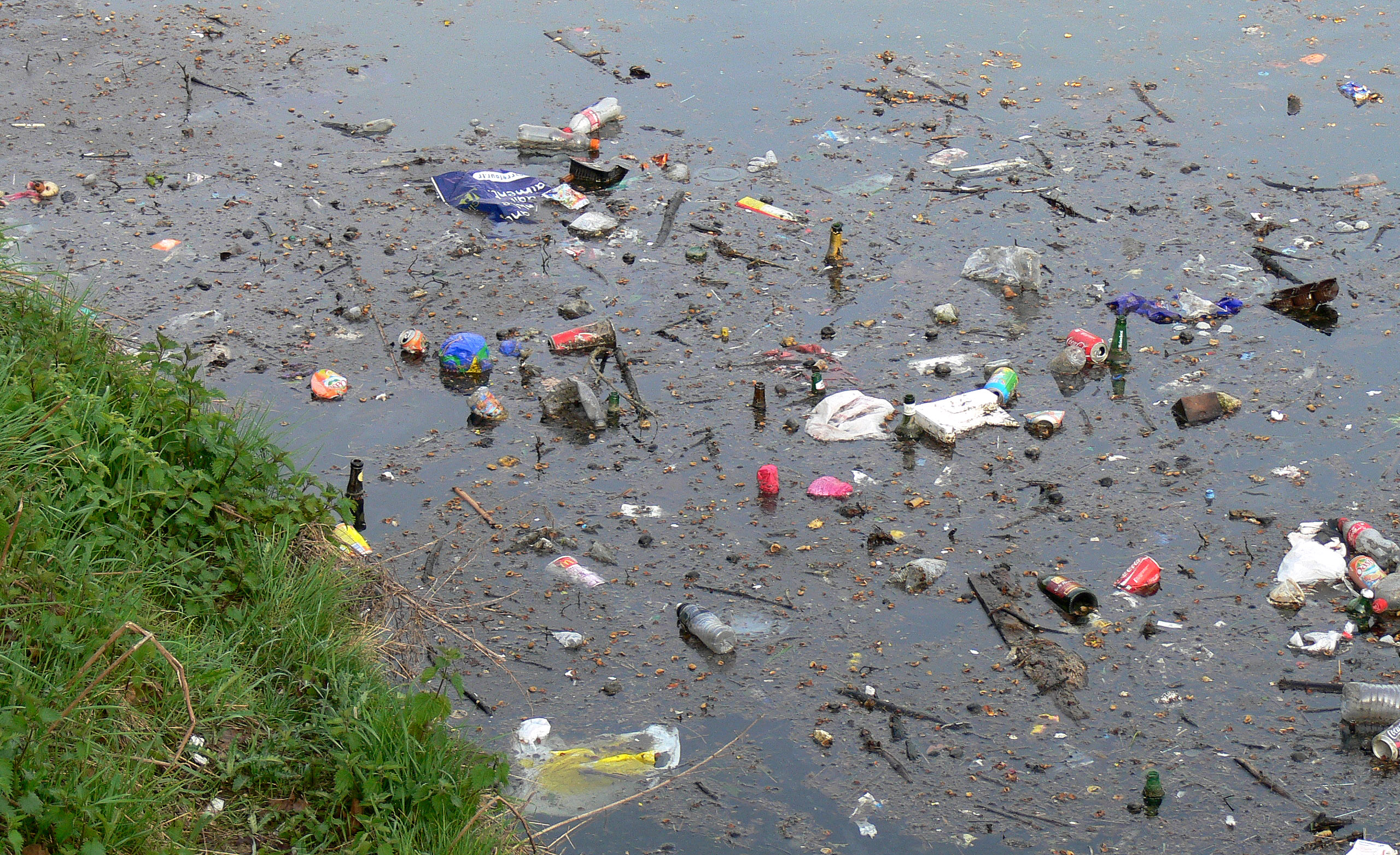 Como Saber Se A água Está Contaminada - Zuledu